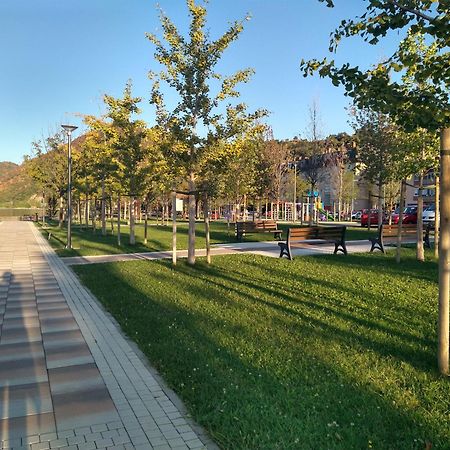 Apartman Sani Donji Milanovac Luaran gambar